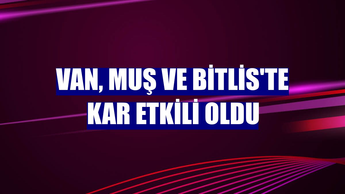 Van, Muş ve Bitlis'te kar etkili oldu