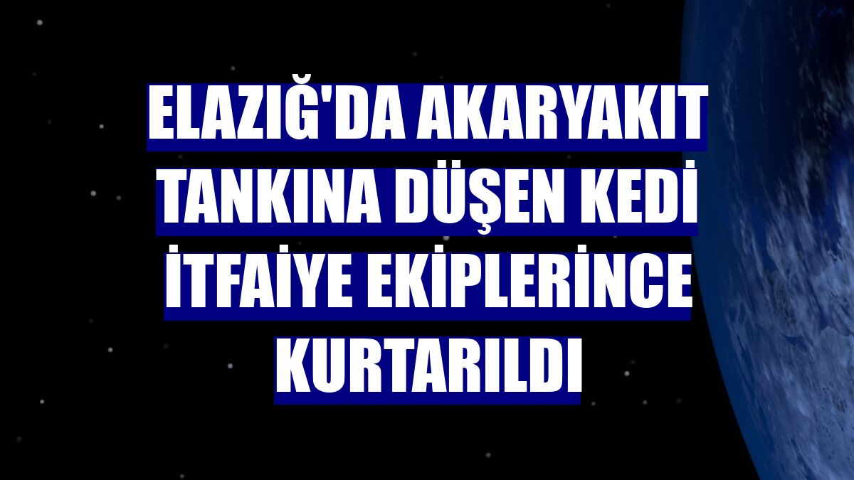 Elazığ'da akaryakıt tankına düşen kedi itfaiye ekiplerince kurtarıldı