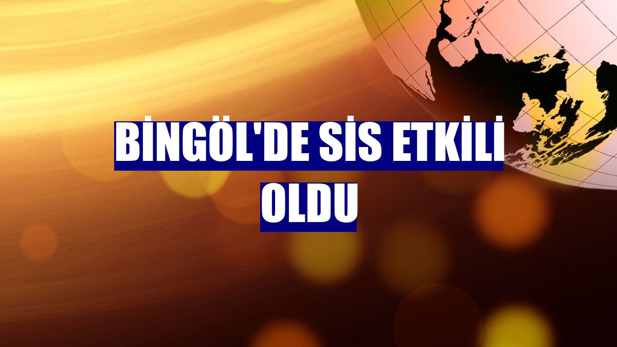 Bingöl'de sis etkili oldu
