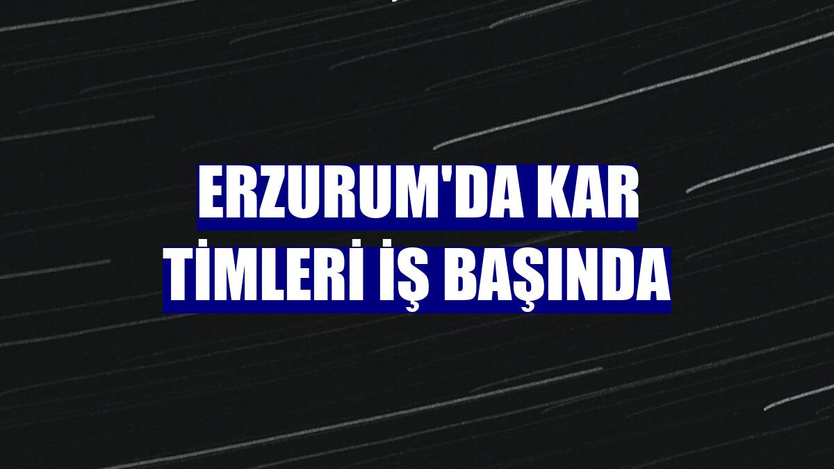 Erzurum'da kar timleri iş başında