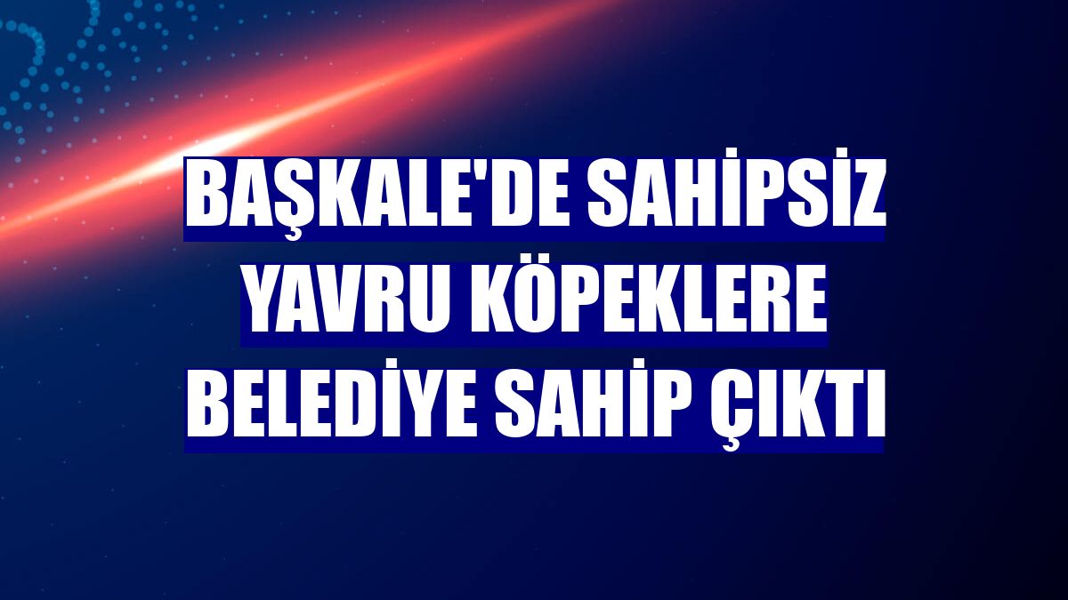 Başkale'de sahipsiz yavru köpeklere belediye sahip çıktı
