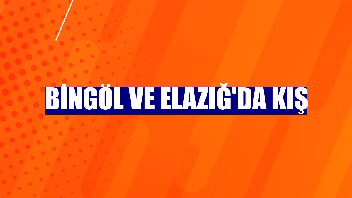 Bingöl ve Elazığ'da kış