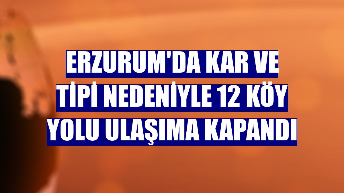 Erzurum'da kar ve tipi nedeniyle 12 köy yolu ulaşıma kapandı