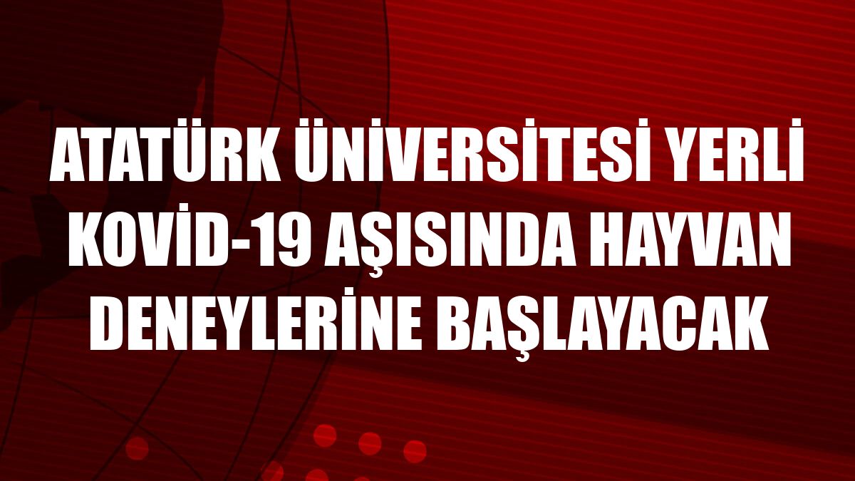 Atatürk Üniversitesi yerli Kovid-19 aşısında hayvan deneylerine başlayacak