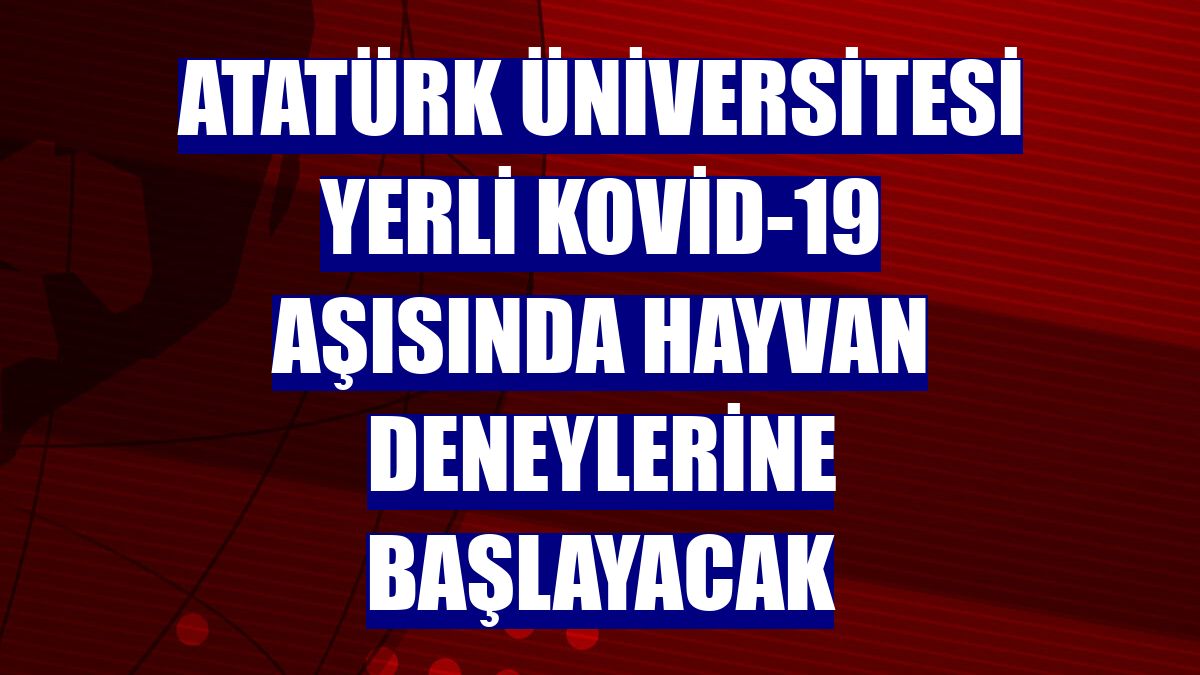 Atatürk Üniversitesi yerli Kovid-19 aşısında hayvan deneylerine başlayacak