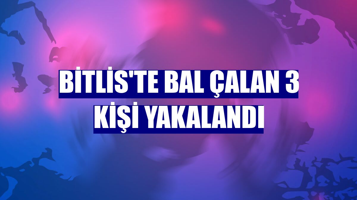 Bitlis'te bal çalan 3 kişi yakalandı