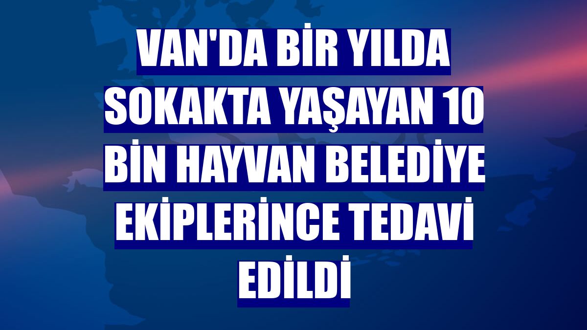 Van'da bir yılda sokakta yaşayan 10 bin hayvan belediye ekiplerince tedavi edildi