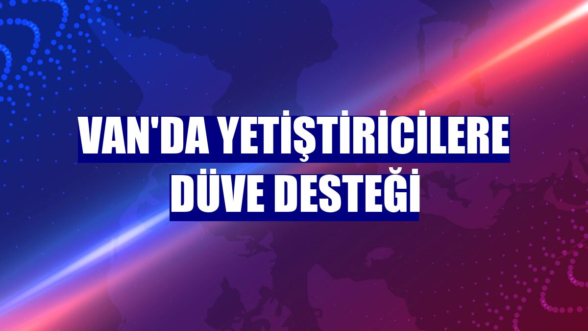 Van'da yetiştiricilere düve desteği