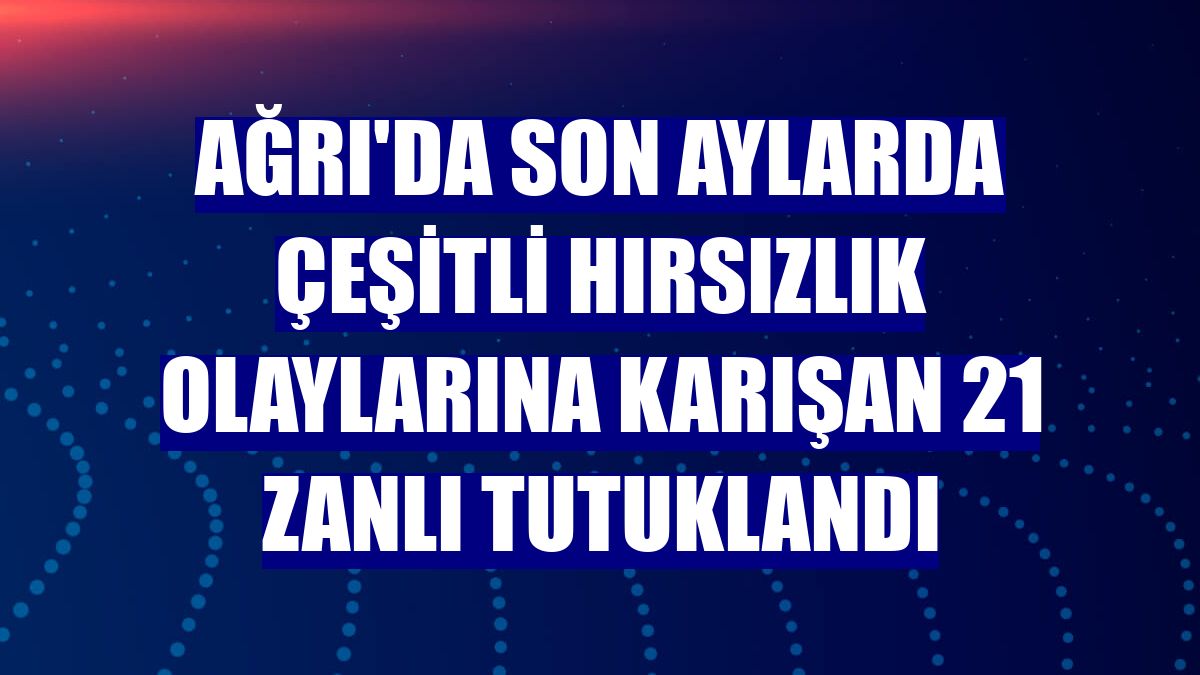 Ağrı'da son aylarda çeşitli hırsızlık olaylarına karışan 21 zanlı tutuklandı