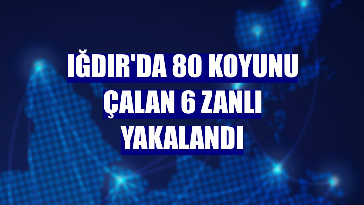 Iğdır'da 80 koyunu çalan 6 zanlı yakalandı