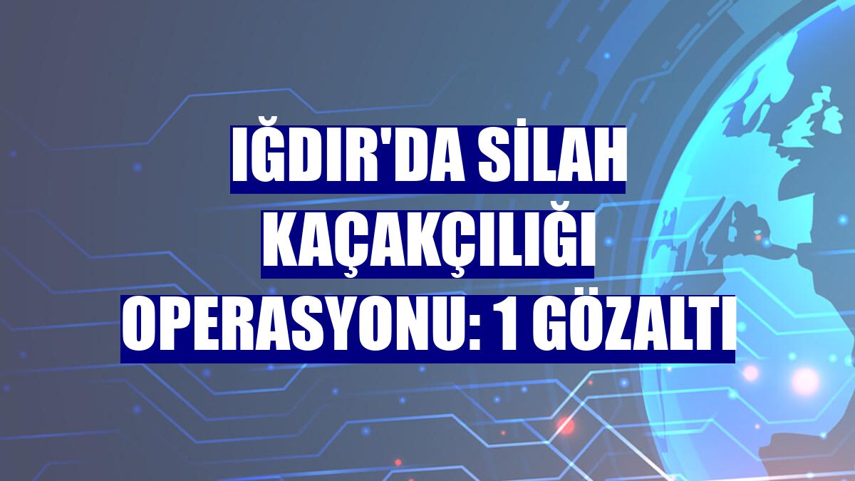 Iğdır'da silah kaçakçılığı operasyonu: 1 gözaltı
