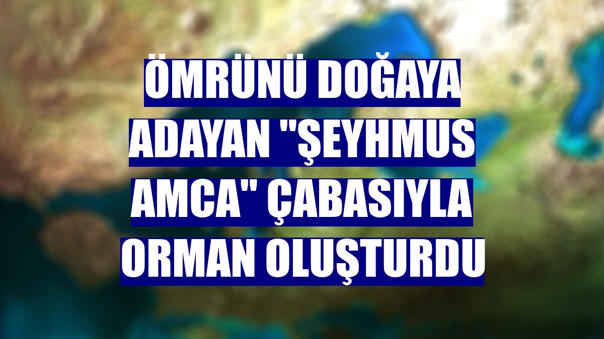 Ömrünü doğaya adayan "Şeyhmus Amca" çabasıyla orman oluşturdu