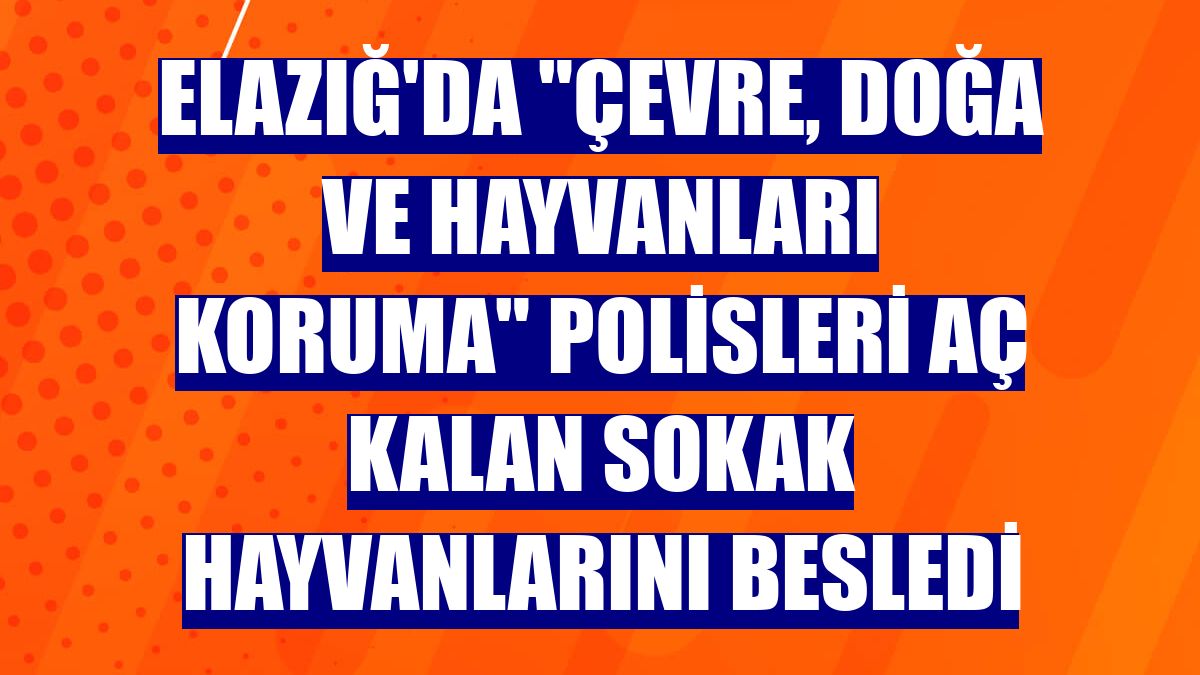 Elazığ'da "Çevre, Doğa ve Hayvanları Koruma" polisleri aç kalan sokak hayvanlarını besledi