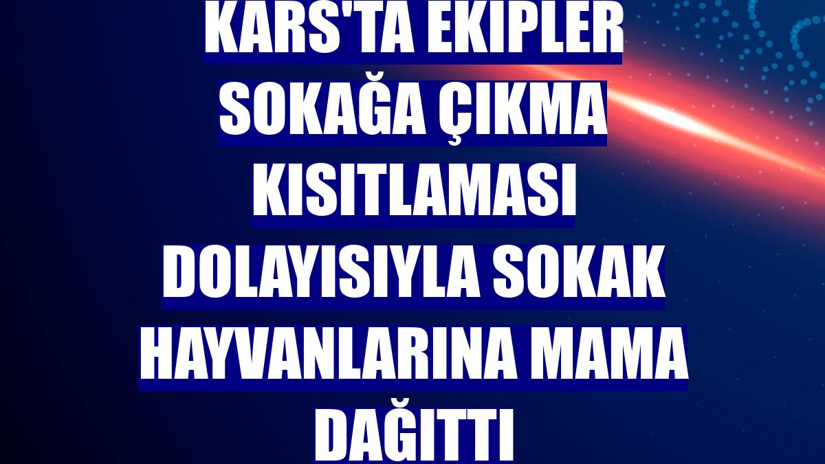 Kars'ta ekipler sokağa çıkma kısıtlaması dolayısıyla sokak hayvanlarına mama dağıttı