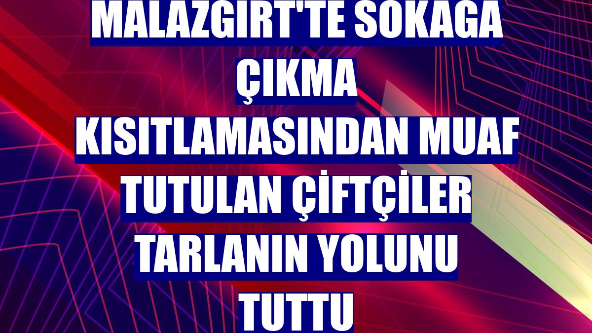 Malazgirt'te sokağa çıkma kısıtlamasından muaf tutulan çiftçiler tarlanın yolunu tuttu