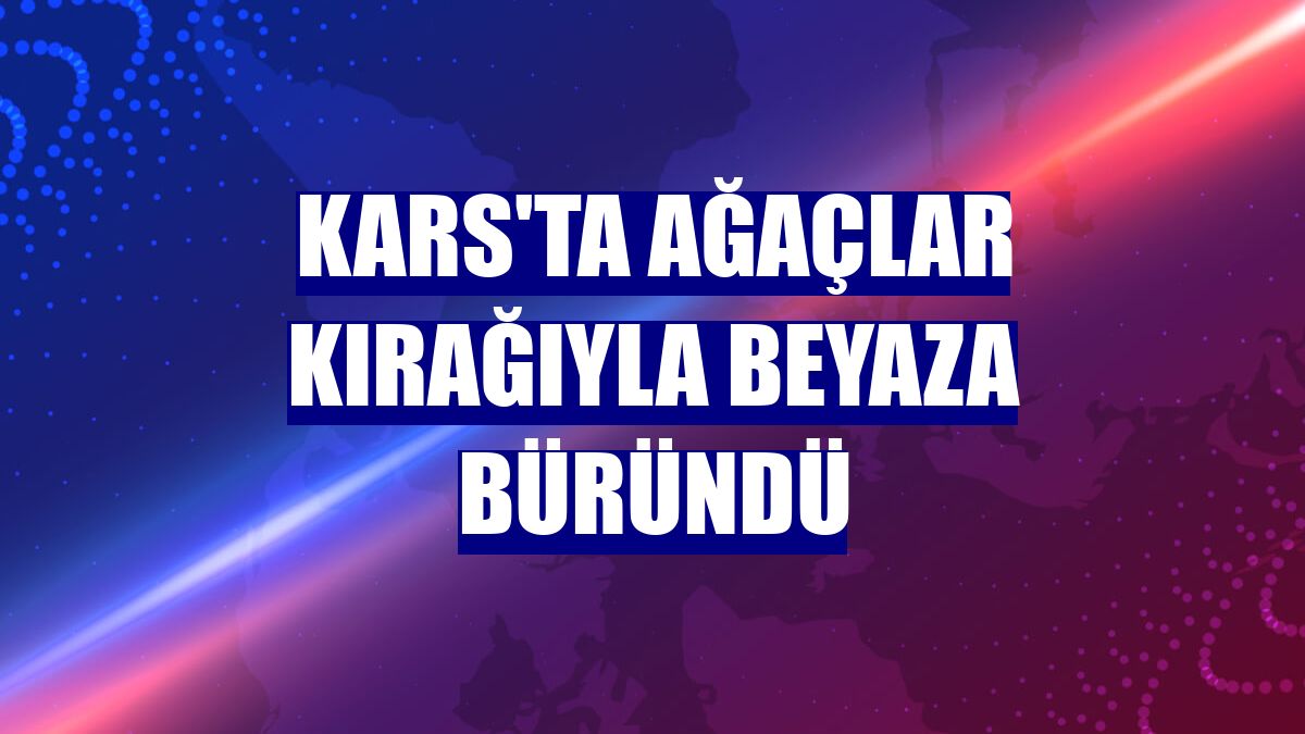 Kars'ta ağaçlar kırağıyla beyaza büründü