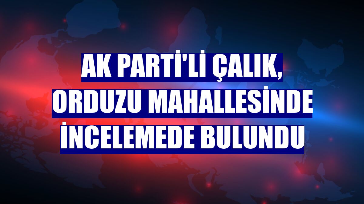 AK Parti'li Çalık, Orduzu Mahallesinde incelemede bulundu
