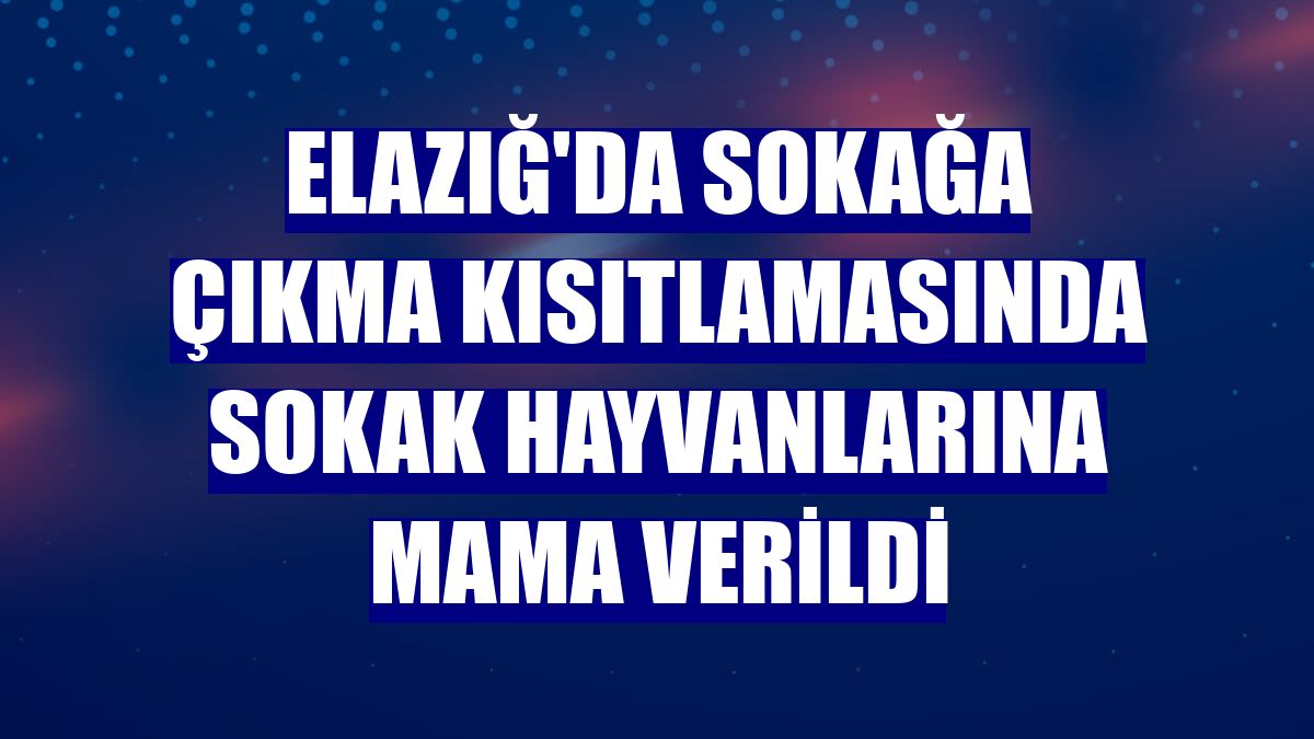 Elazığ'da sokağa çıkma kısıtlamasında sokak hayvanlarına mama verildi