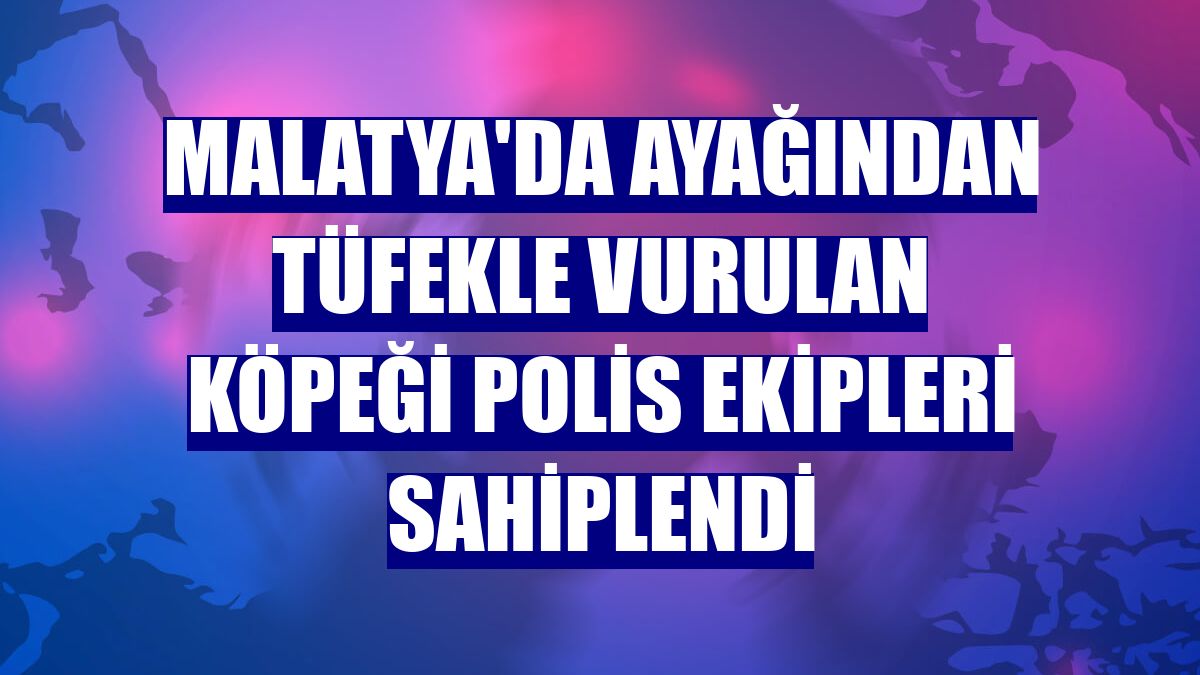Malatya'da ayağından tüfekle vurulan köpeği polis ekipleri sahiplendi