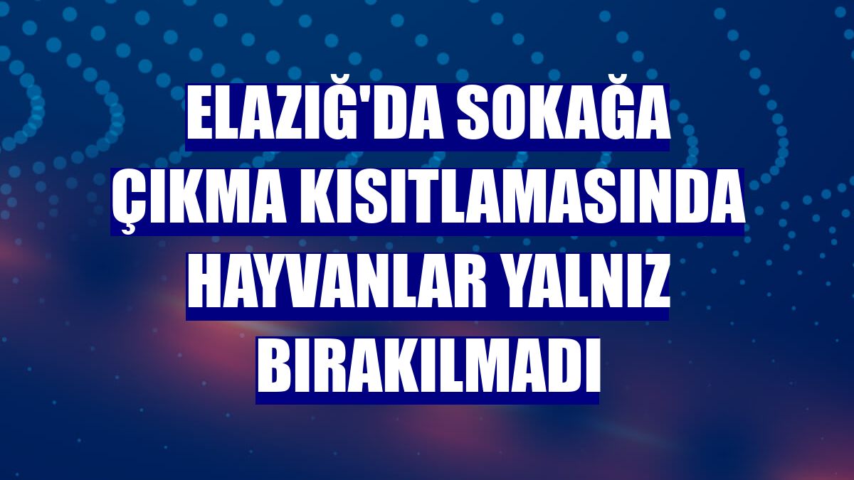 Elazığ'da sokağa çıkma kısıtlamasında hayvanlar yalnız bırakılmadı