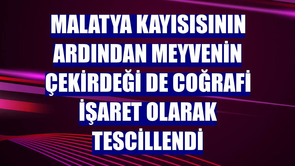 Malatya kayısısının ardından meyvenin çekirdeği de coğrafi işaret olarak tescillendi