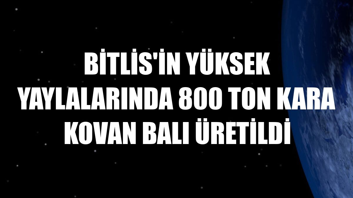 Bitlis'in yüksek yaylalarında 800 ton kara kovan balı üretildi
