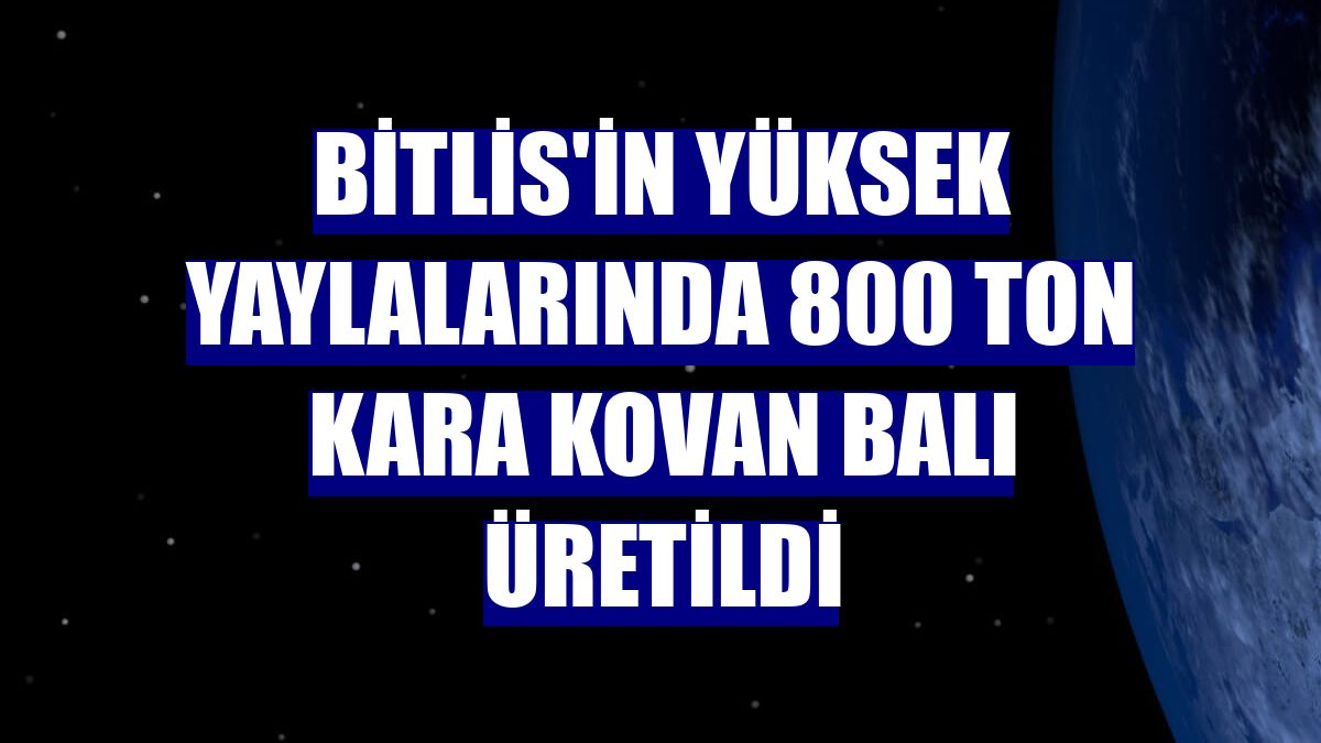 Bitlis'in yüksek yaylalarında 800 ton kara kovan balı üretildi
