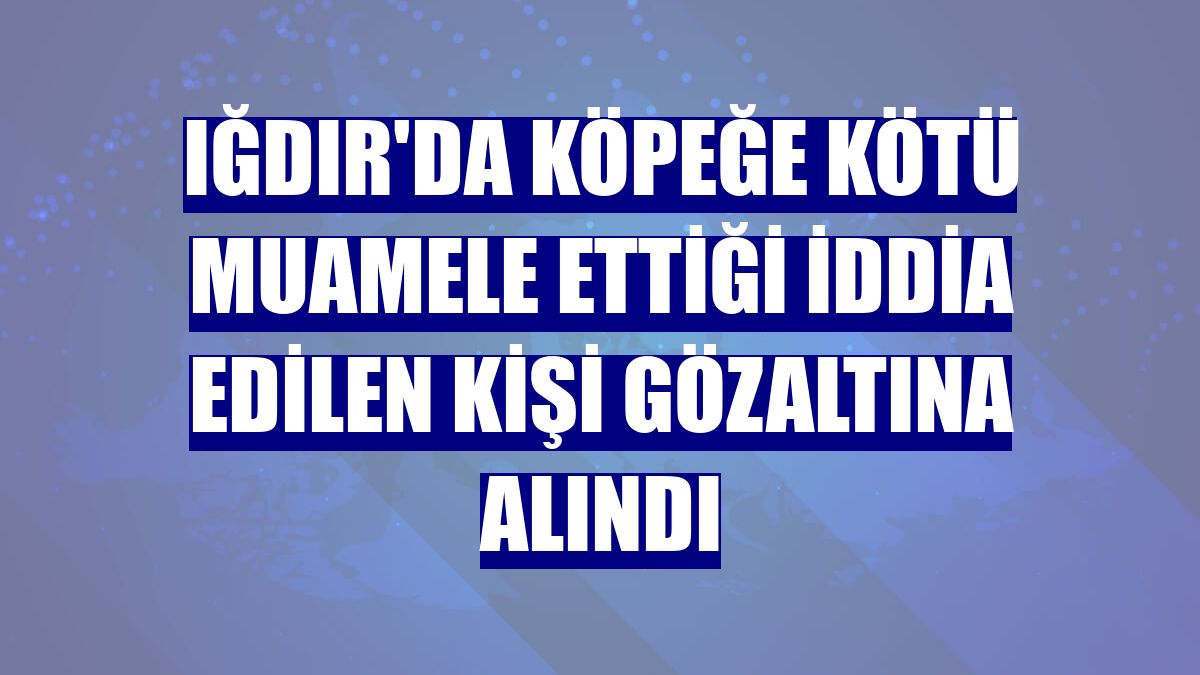 Iğdır'da köpeğe kötü muamele ettiği iddia edilen kişi gözaltına alındı