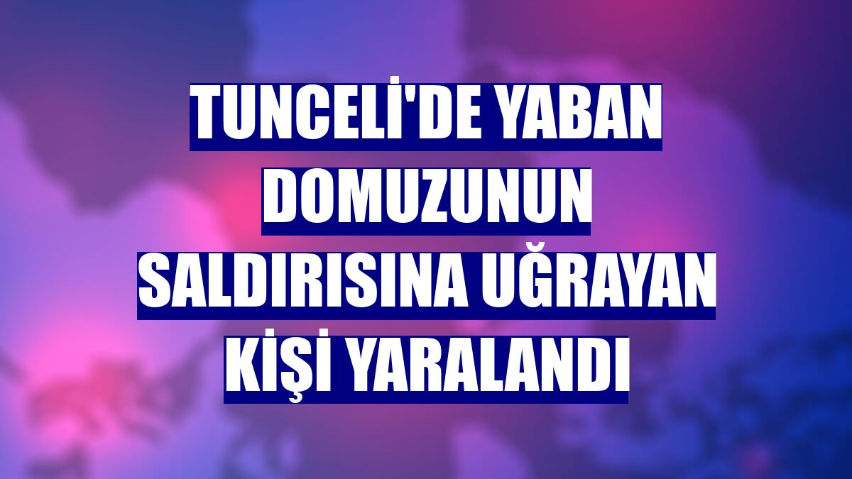 Tunceli'de yaban domuzunun saldırısına uğrayan kişi yaralandı