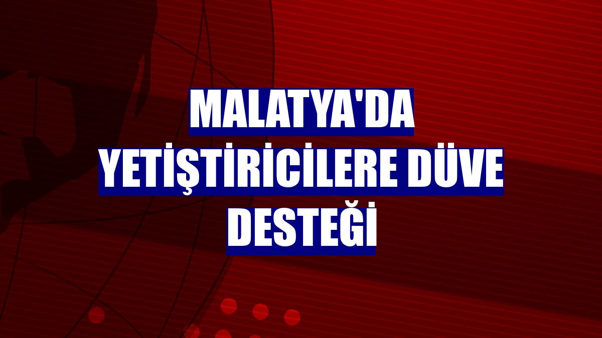 Malatya'da yetiştiricilere düve desteği