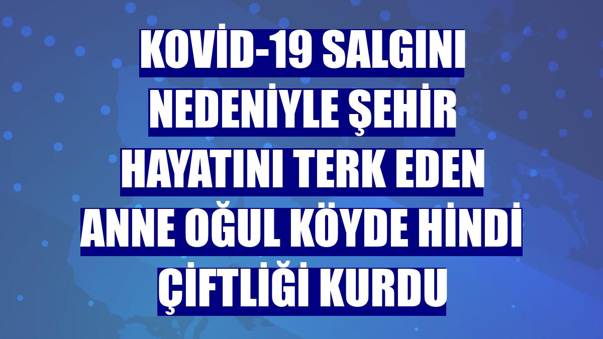 Kovid-19 salgını nedeniyle şehir hayatını terk eden anne oğul köyde hindi çiftliği kurdu