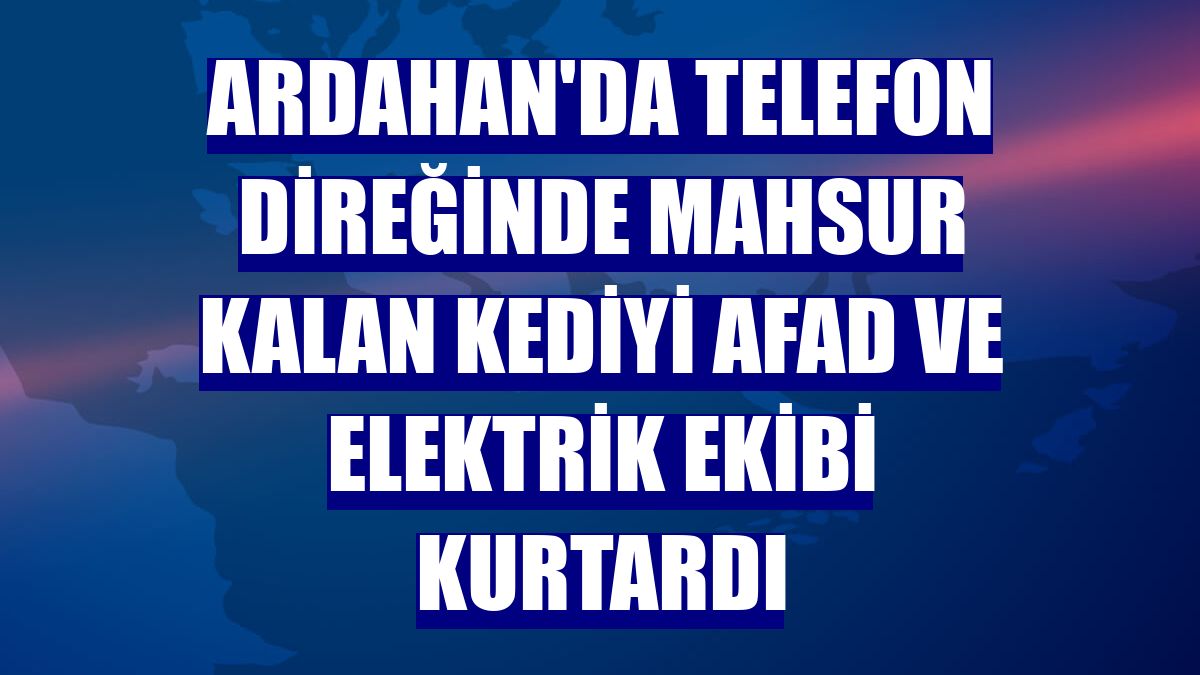 Ardahan'da telefon direğinde mahsur kalan kediyi AFAD ve elektrik ekibi kurtardı