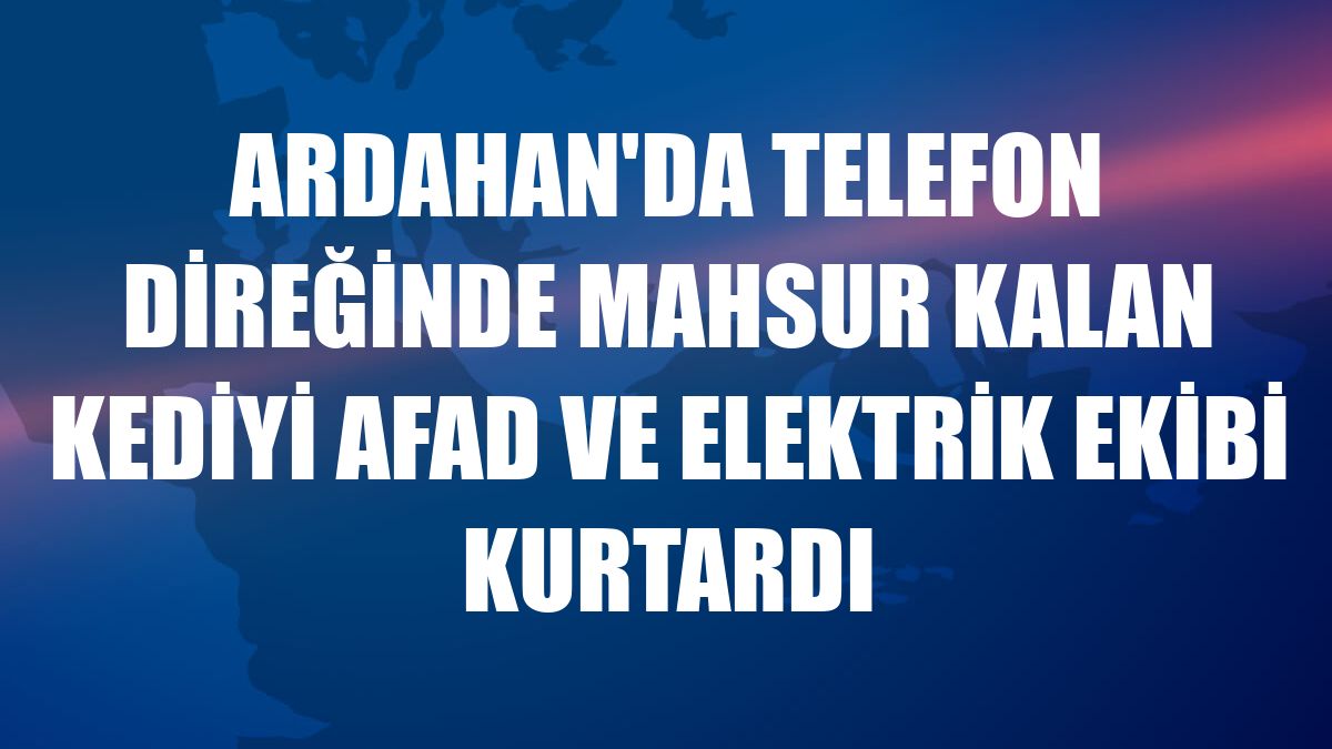 Ardahan'da telefon direğinde mahsur kalan kediyi AFAD ve elektrik ekibi kurtardı