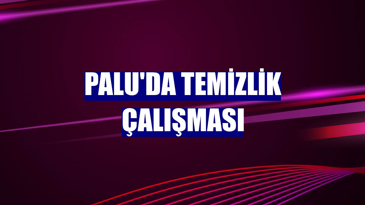 Palu'da temizlik çalışması