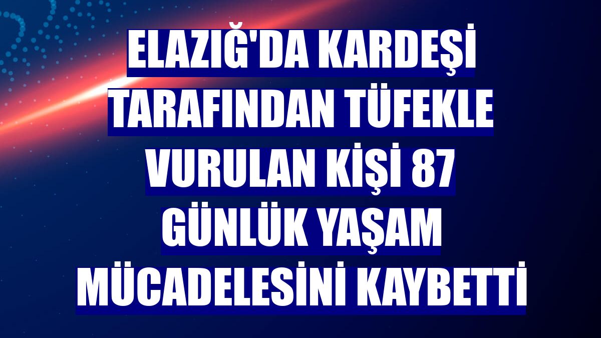 Elazığ'da kardeşi tarafından tüfekle vurulan kişi 87 günlük yaşam mücadelesini kaybetti