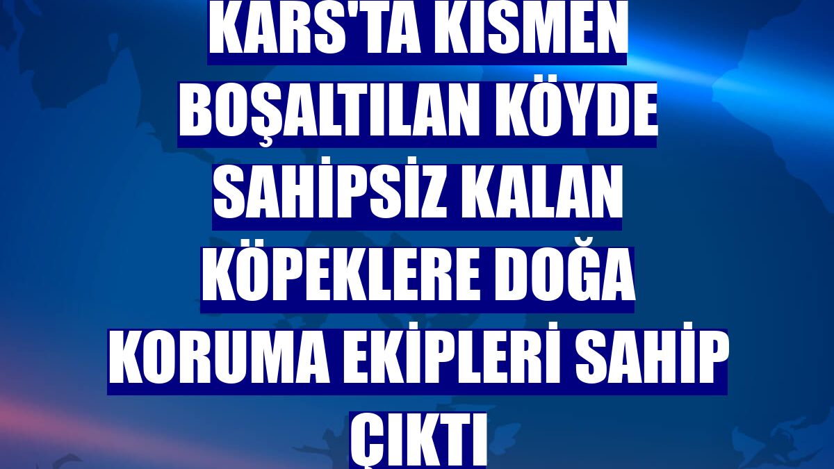 Kars'ta kısmen boşaltılan köyde sahipsiz kalan köpeklere doğa koruma ekipleri sahip çıktı