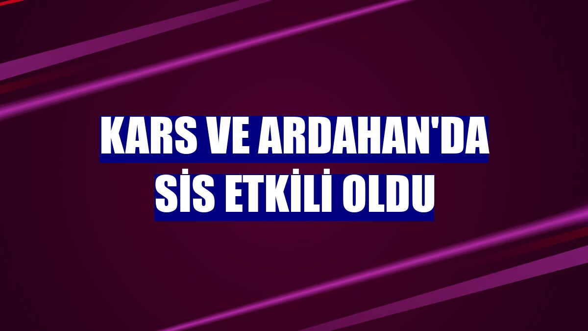 Kars ve Ardahan'da sis etkili oldu