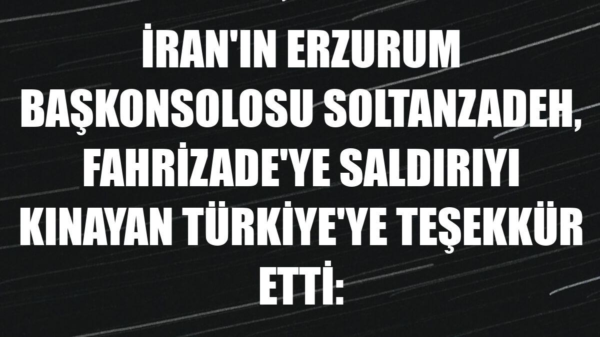 İran'ın Erzurum Başkonsolosu Soltanzadeh, Fahrizade'ye saldırıyı kınayan Türkiye'ye teşekkür etti: