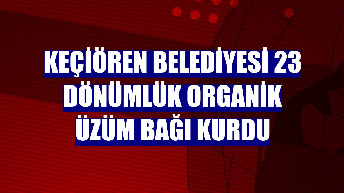 Keçiören Belediyesi 23 dönümlük organik üzüm bağı kurdu