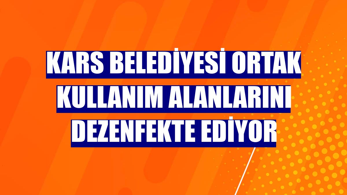Kars Belediyesi ortak kullanım alanlarını dezenfekte ediyor