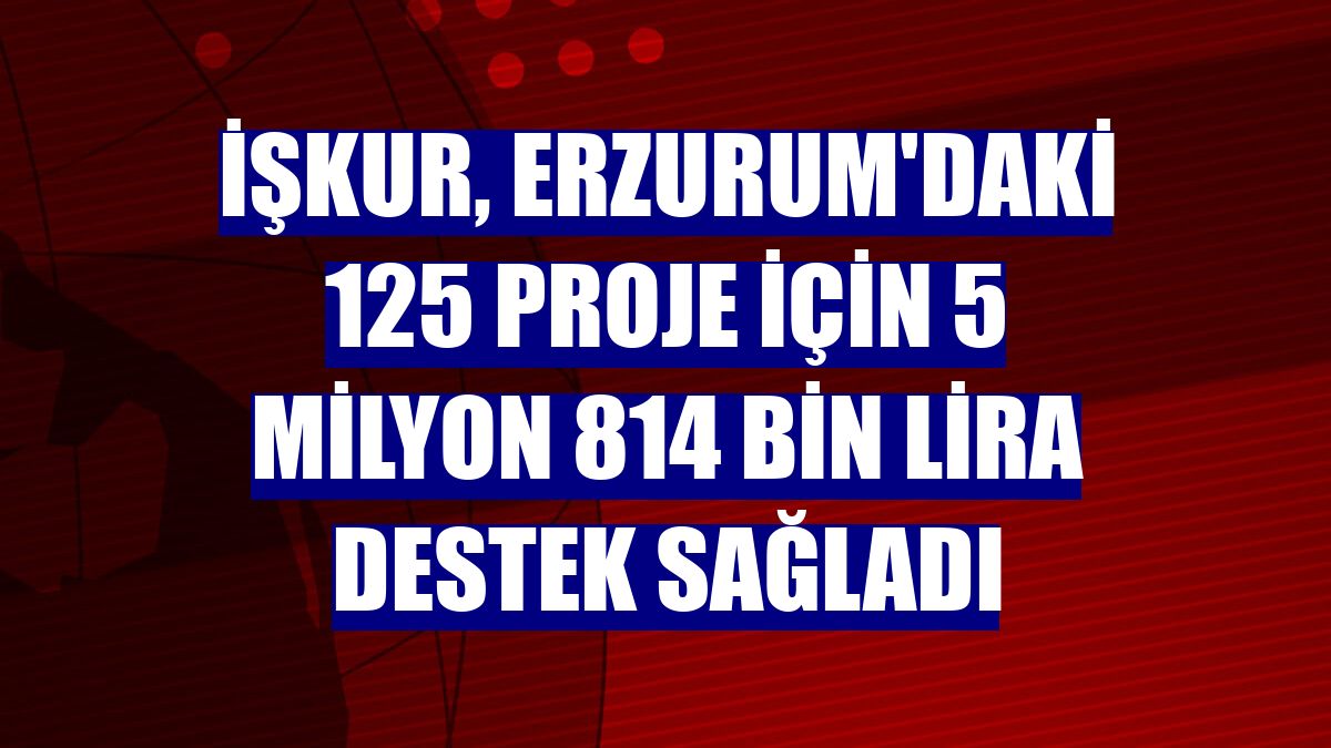 İŞKUR, Erzurum'daki 125 proje için 5 milyon 814 bin lira destek sağladı
