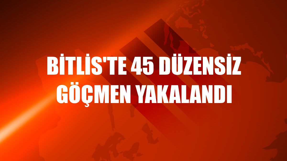 Bitlis'te 45 düzensiz göçmen yakalandı