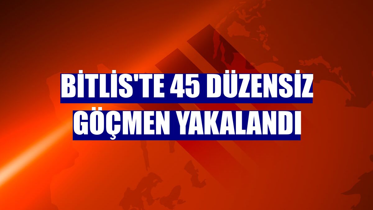 Bitlis'te 45 düzensiz göçmen yakalandı