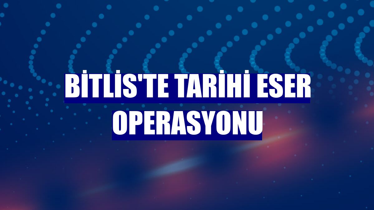 Bitlis'te tarihi eser operasyonu