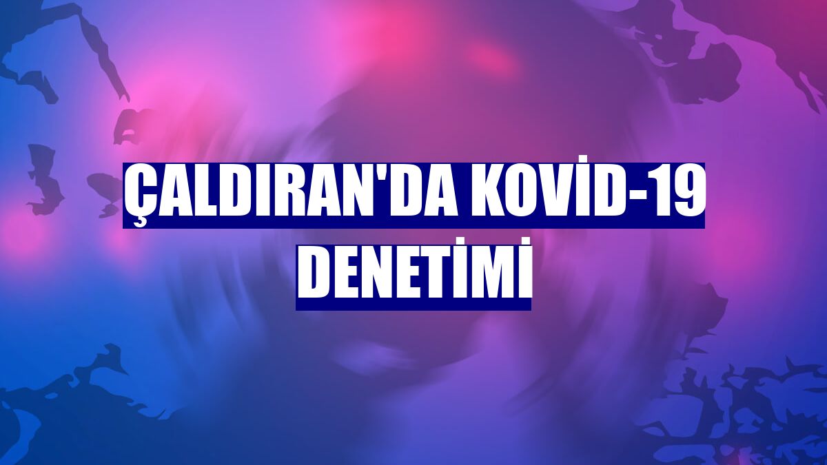 Çaldıran'da Kovid-19 denetimi