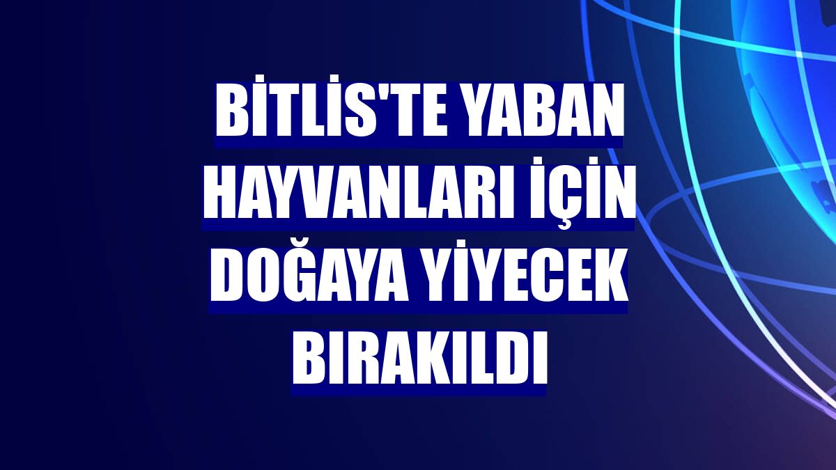 Bitlis'te yaban hayvanları için doğaya yiyecek bırakıldı