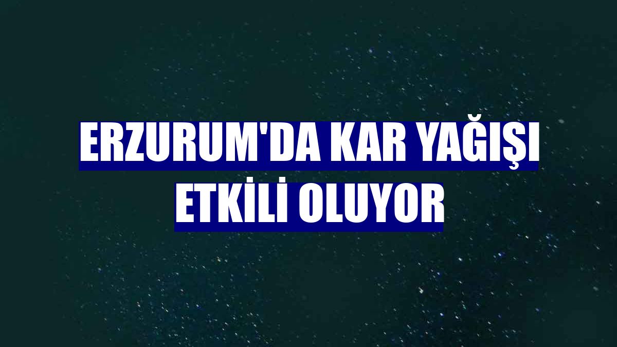 Erzurum'da kar yağışı etkili oluyor