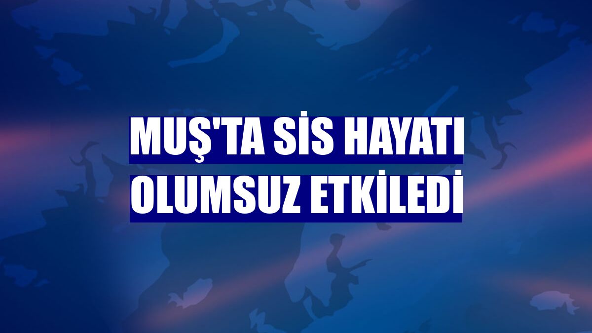 Muş'ta sis hayatı olumsuz etkiledi