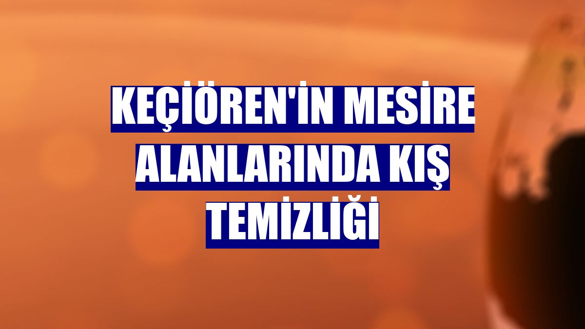 Keçiören'in mesire alanlarında kış temizliği