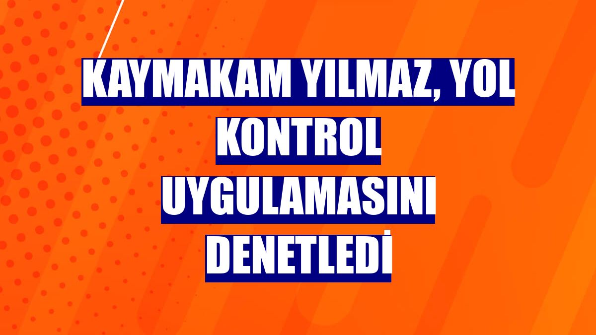 Kaymakam Yılmaz, yol kontrol uygulamasını denetledi